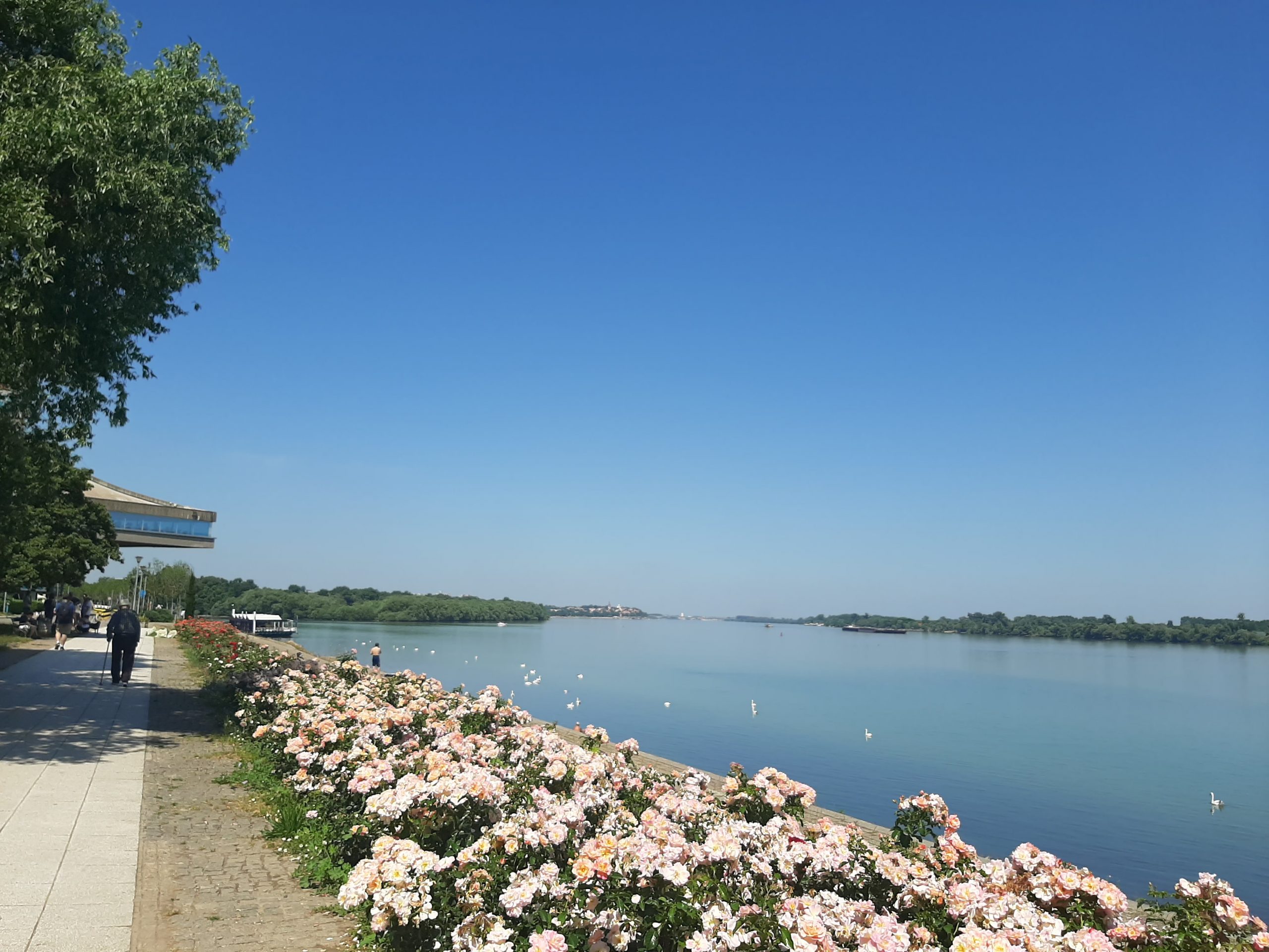 Dunav je 5. juna 2022. u prepodnevnim časovima, na 25 stepeni, kod Dorćola, zaista bio plav