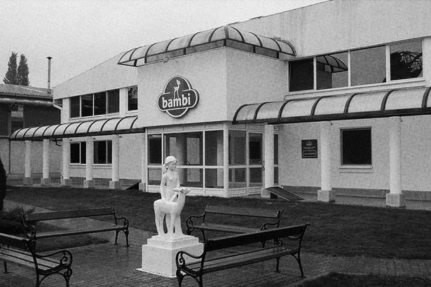 Bambi - prva fabrika krajem šezdesetih godina 20. veka