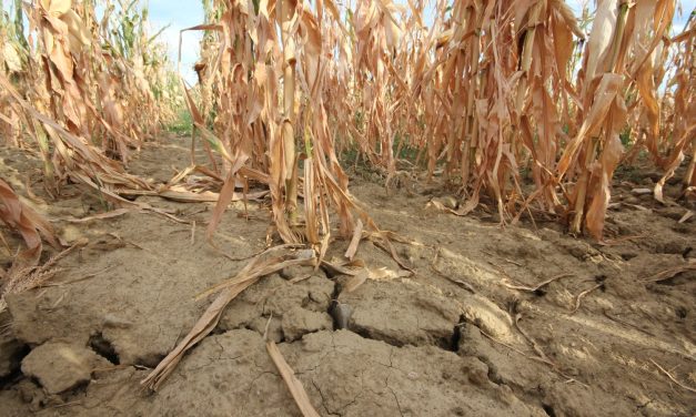 BDP Srbije pao na 1,1% u trećem ovogodišnjem kvartalu