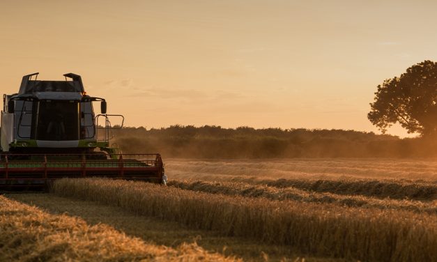 Banca Intesa uvela u ponudu EE Farmer invest kredit