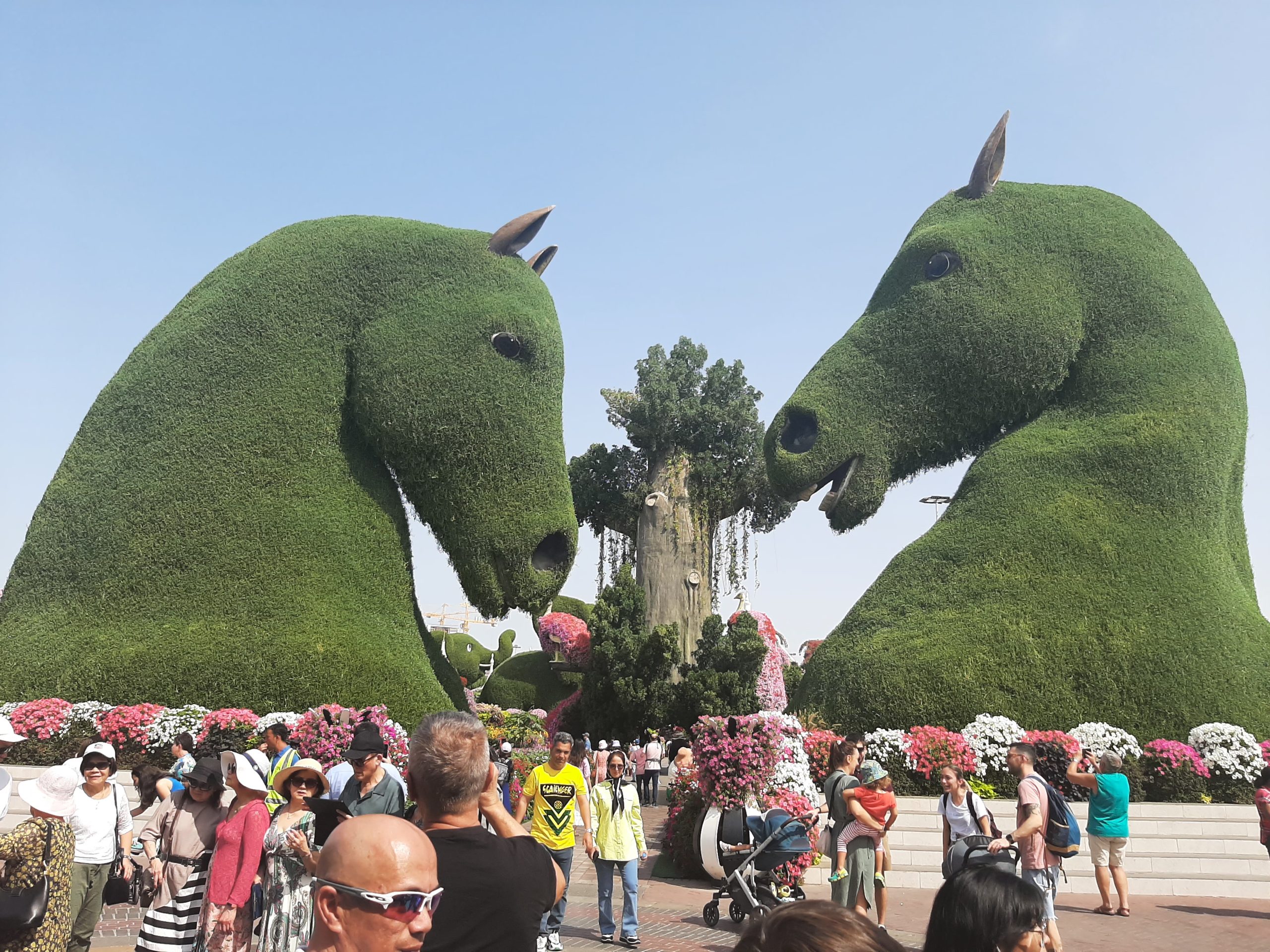 Zelene skulpture konja na ulazu u Dubai Miracle Garden