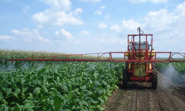 JTI ugovorio sadnju sa više od 300 proizvođača duvana