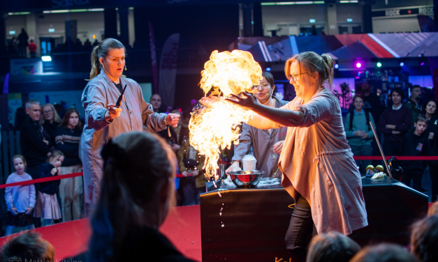 Naučnici iz Francuske, Švedske, Češke, Estonije, Austrije i Slovenije gosti Međunarodnog programa Festivala nauke