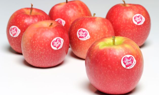 Delta Agrar: Rekordni prinosi Pink Lady