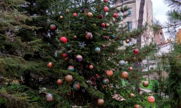 McDonald’s jelka pobednik u akciji „Novogodišnja humanitarna bašta“