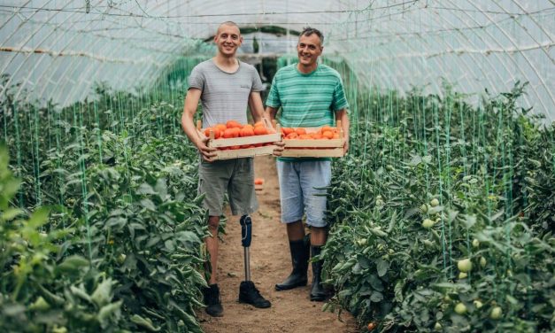 Erste Banka odobrila preko pet miliona evra za više od 500 početnika u poslovanju