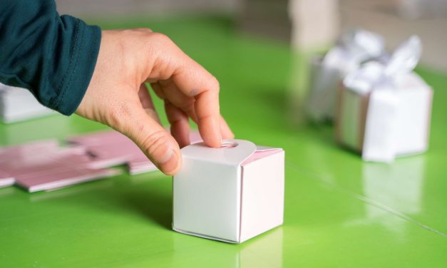 Inovacije iz Srbije na Svetskom forumu cirkularne ekonomije u Briselu