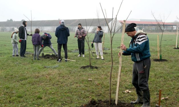 KONKURS TRAG FONDACIJE ZA PROJEKTE JAVNOG ZAGOVARANJA „ISTRAŽI- OSNAŽI“ DO 22. MAJA