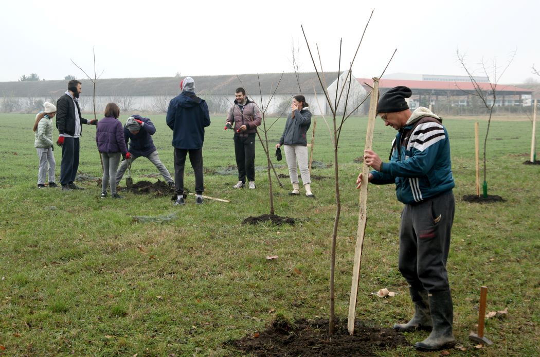 Ekološki pokret Vrbas realizovao je sadnju drveća u Lazinom parku, zahvaljujući sredstvima Trag fondacije