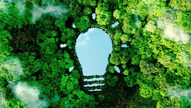 Novi zeleni krediti: Podrška subvencijama za energetsku efikasnost