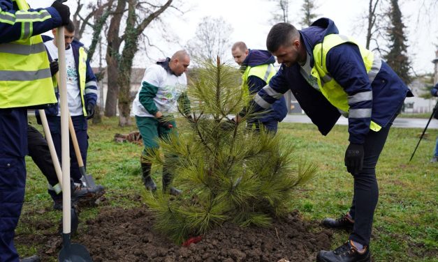 ZAPOSLENI KOMPANIJE CARLSBERG SRBIJA OBNOVILI PARK U ČELAREVU