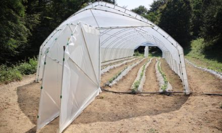 Raspisan konkurs za dodelu plastenika poljoprivrednim gazdinstvima u opštini Lučani