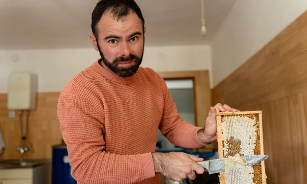 Jedini proizvođači organskog meda u Vojvodini – Batinići iz Lazareva