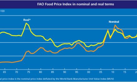 FAO upozorava: Rastu cene hrane – skuplje žitarice, meso i mlečni proizvodi
