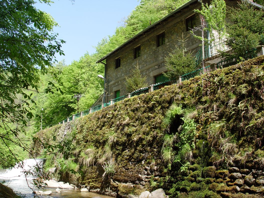 Mala hidroelektrana „Jelašnica“