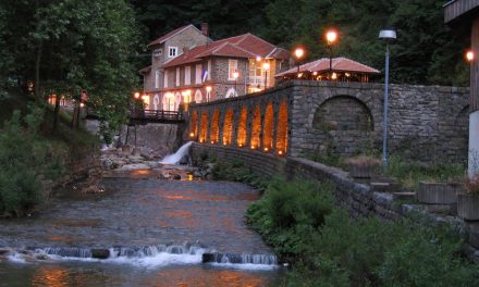 Završena obnova malih HE „Vučje“ i „Jelašnica“