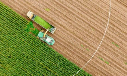 NLB Komercijalna banka isplatila prvi subvencionisani agro kredit u ovoj godini