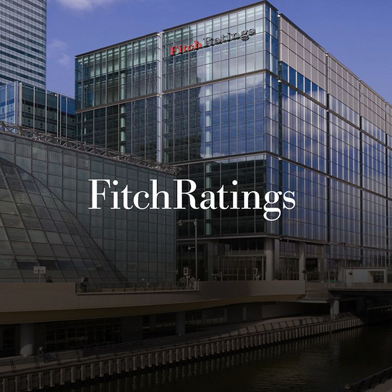 (Foto - izvor: www.fitchratings.com)