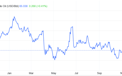 U Srbiji brinemo kako ćemo da nabavljamo naftu zbog sankcija NIS-u, a OPEC odlučio da napravi pauzu u proizvodnji, zbog viška nafte!
