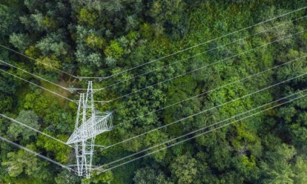 Izveštaj Siemens-a: Veštačka inteligencija i digitalizacija pokreću sledeću fazu  prelaska na čistu energiju