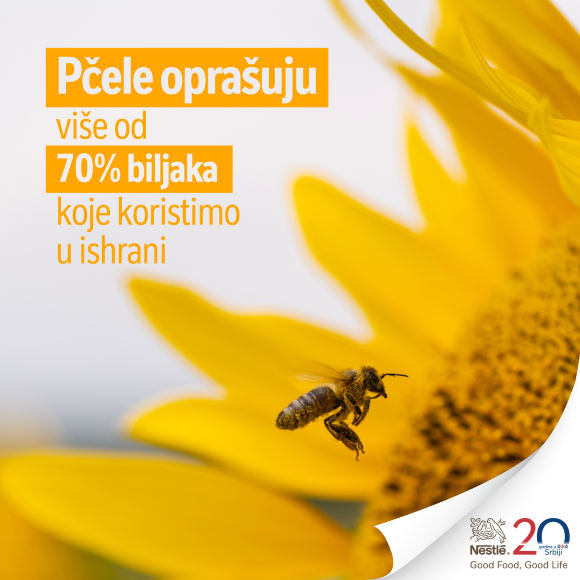 Zasađeno 200 stabala medonosnog drveća za škole širom Srbije