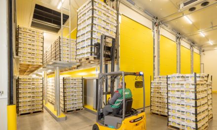 Prvi EU Taxonomy sertifikat u Srbiji dodeljen MAXI zreonici banana u Dobanovcima