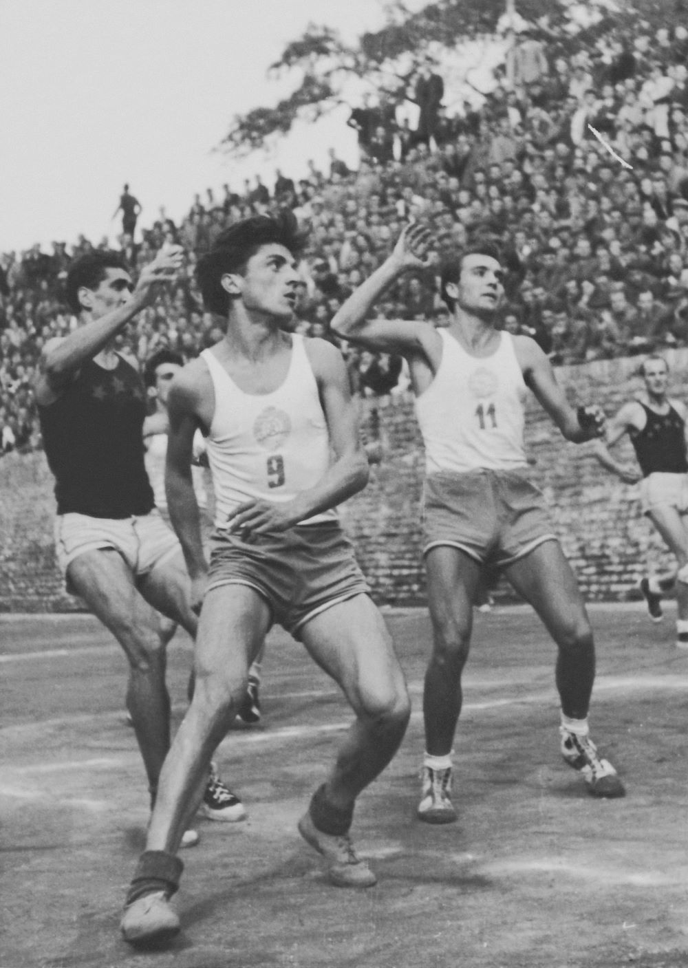 Radomir Šaper na utakmici