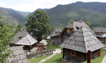 Posete strukovnim događajima: planiranje ili impulsivna kupovina?