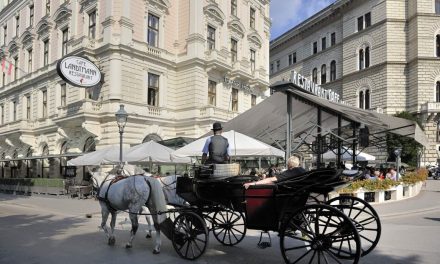 Prošle godine u Beču osnovano 9,2% više preduzeća nego u 2024.