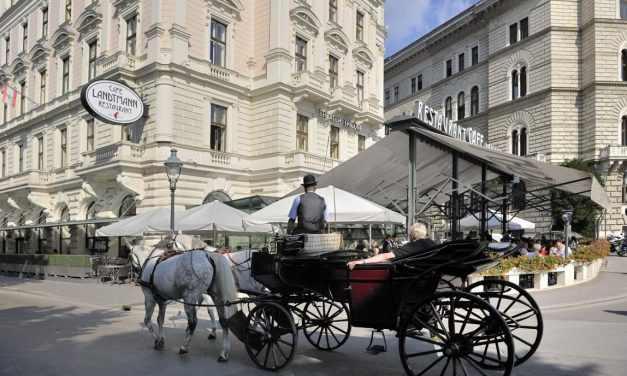 Prošle godine u Beču osnovano 9,2% više preduzeća nego u 2024.
