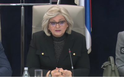 Jorgovanka Tabaković: Priča o trgovinskim lancima u gubicima je psihološki pritisak, jer mi imamo podatke…