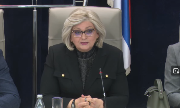 Jorgovanka Tabaković: Priča o trgovinskim lancima u gubicima je psihološki pritisak, jer mi imamo podatke…