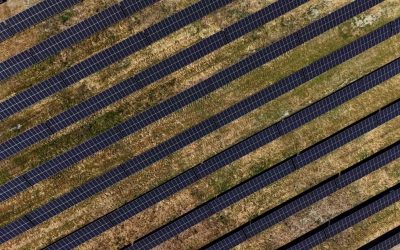 Kompanija NIS pustila u rad najveću fotonaponsku elektranu