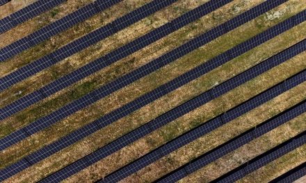 Kompanija NIS pustila u rad najveću fotonaponsku elektranu