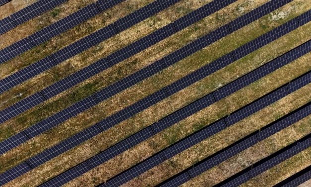 Kompanija NIS pustila u rad najveću fotonaponsku elektranu
