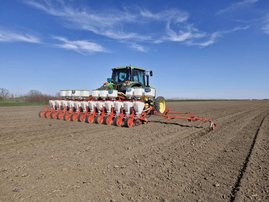 Šećerna repa ove godine biće posejana na 30.000 hektara (Foto: Radomir Putniković)