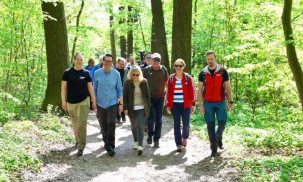 Od vinograda do vidikovaca: Najlepše pešačke ture u Beču