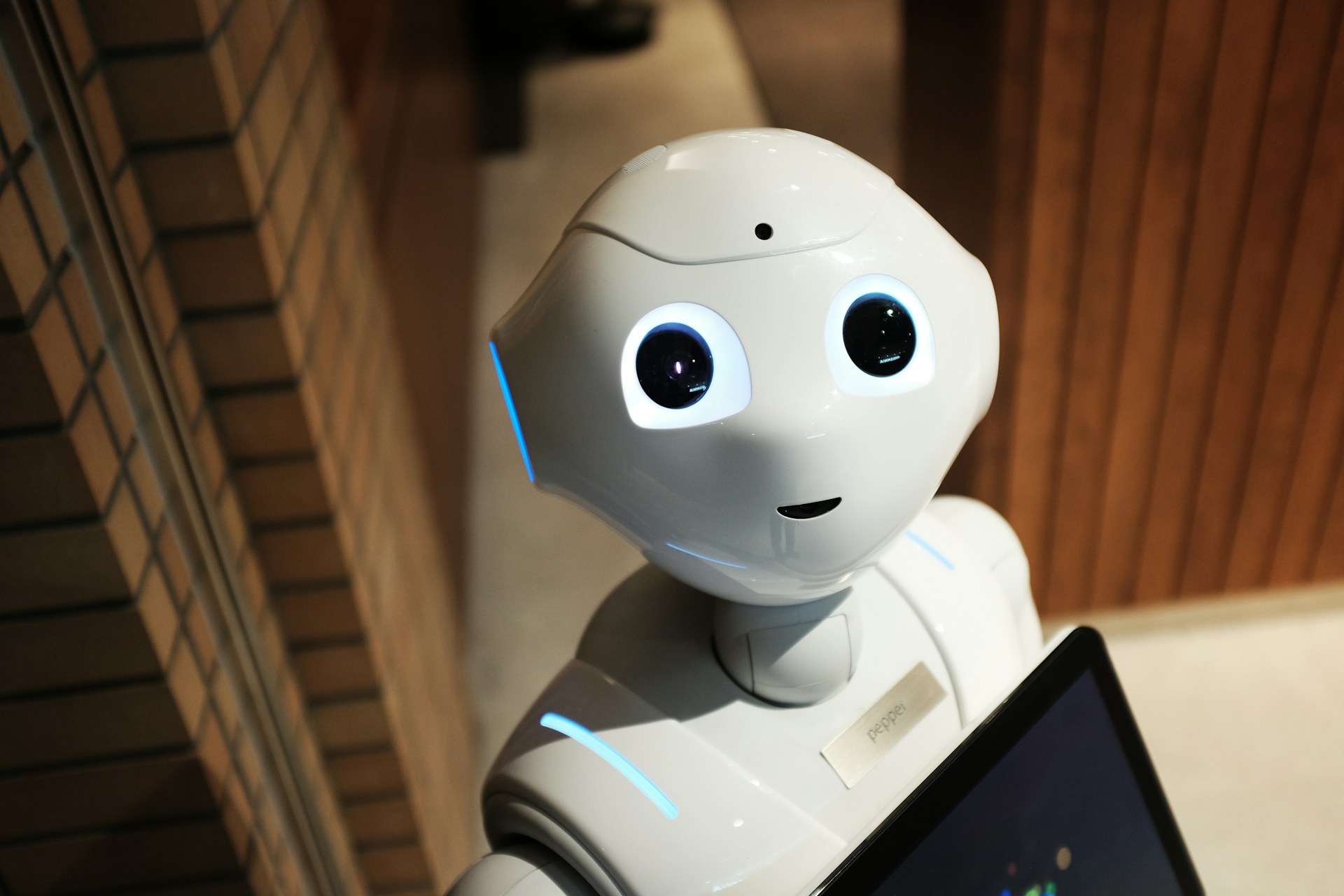Beli humanoidni robot (Free foto: Alex Knight)